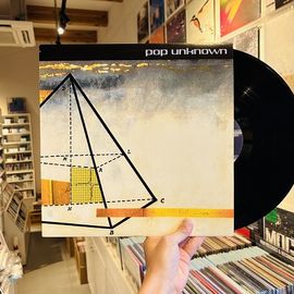 POP UNKNOWN / If Arsentic Fails, Try Algebra LP(USED)