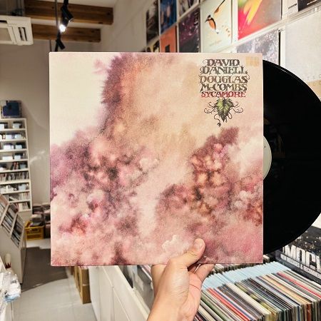 DAVID DANIELL & DOUGLAS MCCOMBS / Sycamore LP(USED)