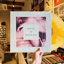 PITY SEX / Feast Of Love LP(USED)
