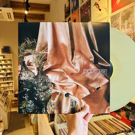 TIGERS JAW / I Won't Care How You Remember Me LP(USED)