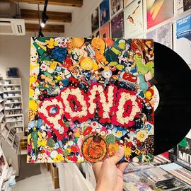 POND / st LP(USED)