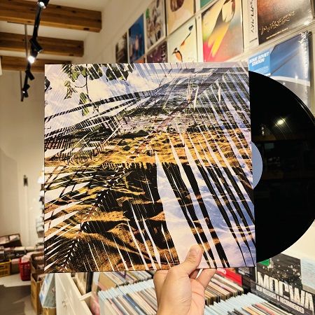 DOGS ON ACID / st LP(USED)