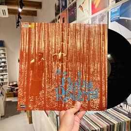 Holy Rollers / As Is LP(USED)