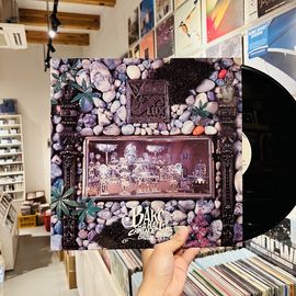 SENATOR FLUX / Bake The Hall In The Candle Of Her Brain 12