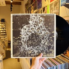 PAST LIVES / Strange Symmetry 12