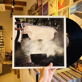 PIANOS BECOME THE TEETH / Keep You LP(USED)