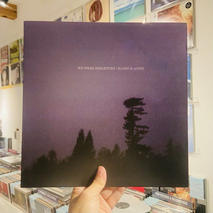WE WERE SKELETONS / Blame & Aging LP+MP3