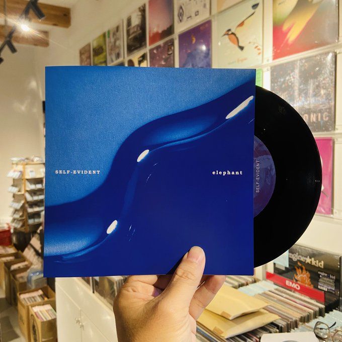 SELF-EVIDENT / ELEPHANT // split 7"+MP3