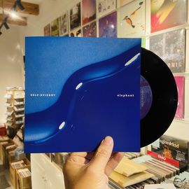 SELF-EVIDENT / ELEPHANT // split 7