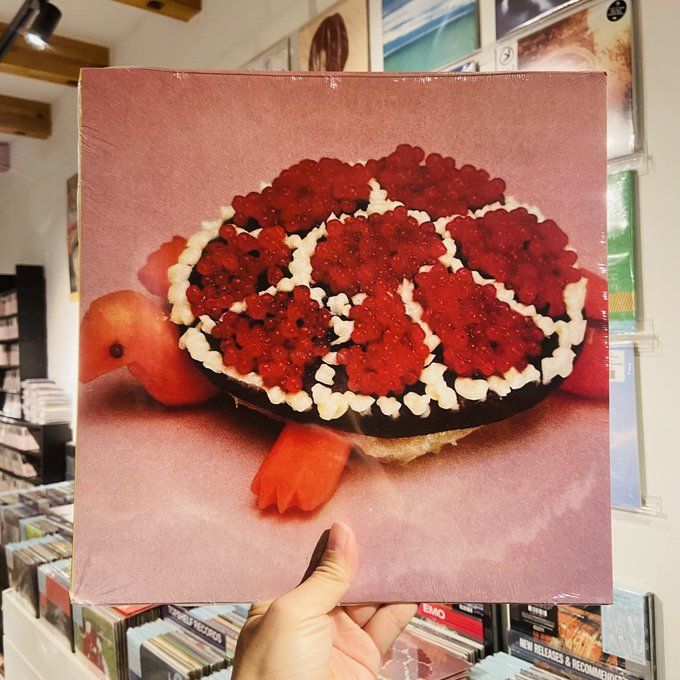 SHARP PINS / Turtle Rock LP