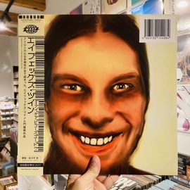 APHEX TWIN / ...I Care Because You Do 2xLP+OBI
