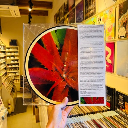 JEJUNE / This Afternoons Malady LP(USED)