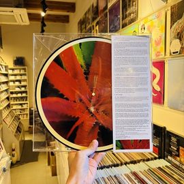 JEJUNE / This Afternoons Malady LP(USED)