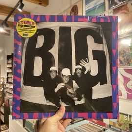 PET SYMMETRY / Big Symmetry LP(BLUE)