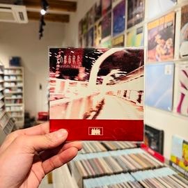 Odontolabis femoralis / ����ԻԾ��� CD