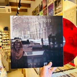 THE SADDEST LANDSCAPE / After The Lights LP (USED)