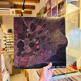 WE WERE SKELETONS / st LP(USED)