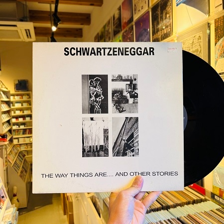 SCHWARTZENEGGAR / The Way Things Are.... And Other Stories LP(USED)