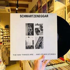 SCHWARTZENEGGAR / The Way Things Are.... And Other Stories LP(USED)
