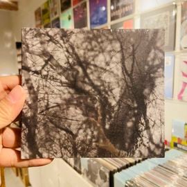 GROUPER / Way Their Crept CD