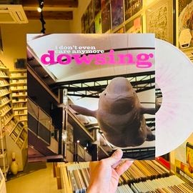 DOWSING / I Don't Even Care Anymore LP(USED)