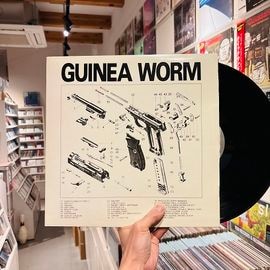 VA / GUINEA WORM // Split LP(USED)