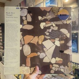 MID-AIR THIEF / Gongjoong Doduk LP(ORANGE/PINK)