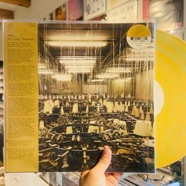 toe / For Long Tomorrow LP(SPINDLE)