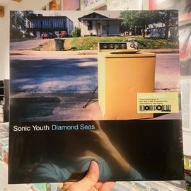 SONIC YOUTH / Diamond Seas 12