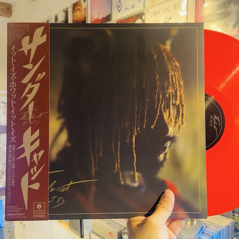 THUNDERCAT / It Is What It Is LP(RED)+OBI