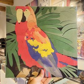 ALGERNON CADWALLADER / Parrot Flies LP(CLEAR/RED)