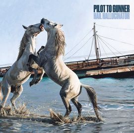 PILOT TO GUNNER / Hail Hallucinator CD