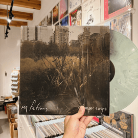 MY FICTIONS / Stranger songs LP(USED)