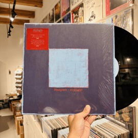 PINEGROVE / Skylight LP(USED)