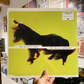 THE PROMISE RING / The Horse Latitudes LP