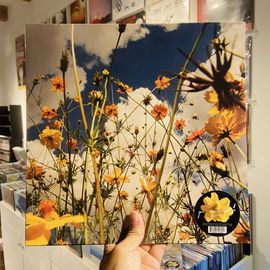 TASHA / You Are Spring! LP(YELLOW)