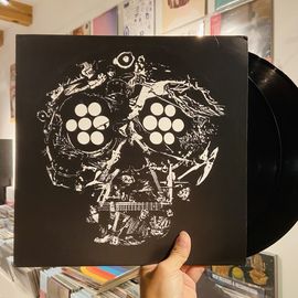 YOUNG WIDOWS / Decayed (Ten Years Of Cities, Wounds, Lightness, And Pain) 2xLP(USED)