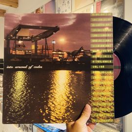 VALINA / Into Arsenal Of Codes LP(USED)