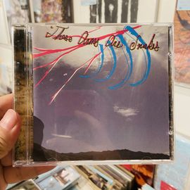 THESE ARMS ARE SNAKES / Easter CD(USED)