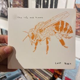 THE LIFE AND TIMES / Lost Bees CD(USED)