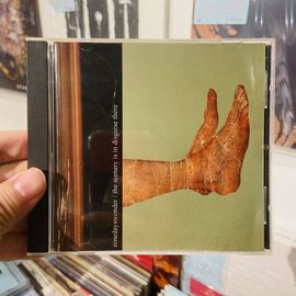 NINE DAYS WONDER / The Scenery Is In Disguise There CD(USED)