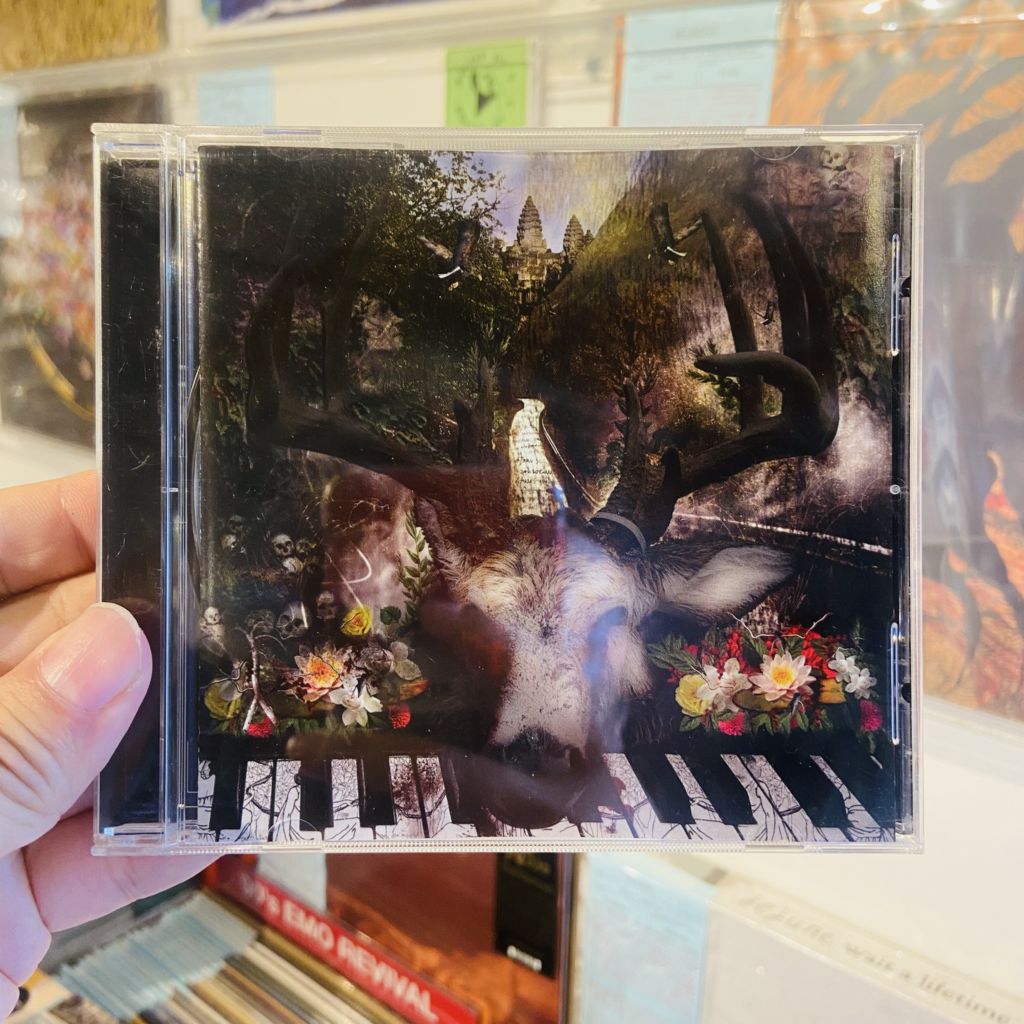 KAOSPILOT / Shadows CD(USED) | STIFF SLACK WEBSHOP