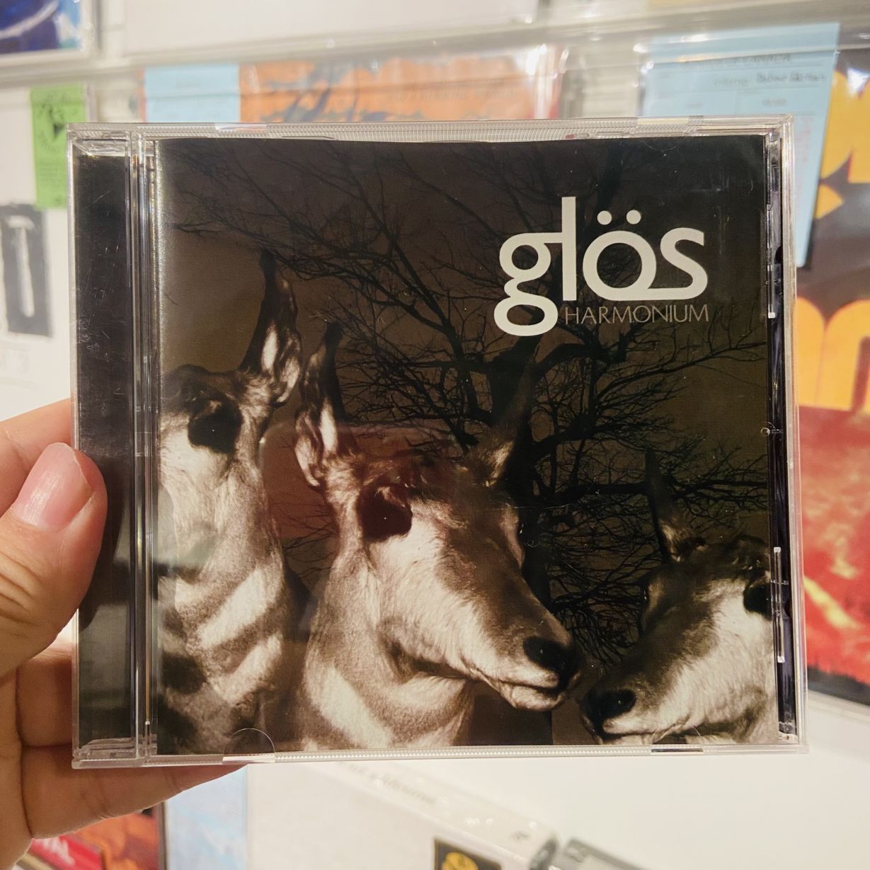 GLÖS / Harmonium CD(USED) | STIFF SLACK WEBSHOP