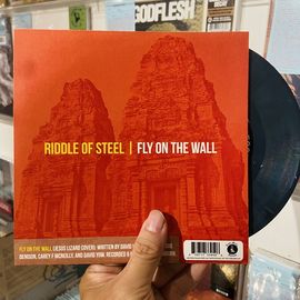 RIDDLE OF STEEL / TRAINDODGE / Fly On The Wall / Robowindows 7