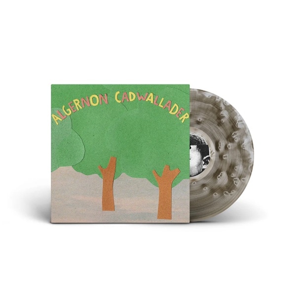 ALGERNON CADWALLADER / Some Kind of Cadwallader LP(BLACK ICE)
