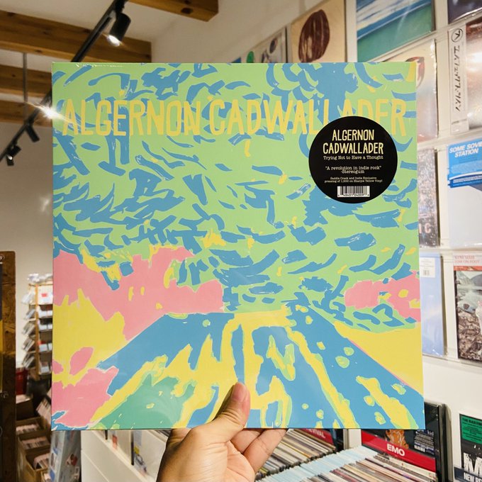 ALGERNON CADWALLADER / Trying Not To Have A Thought LP