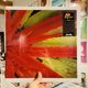 JEJUNE / This Afternoons Malady 2xLP
