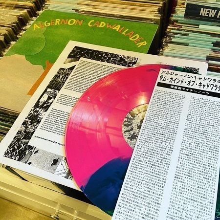 ALGERNON CADWALLADER / Some Kind of Cadwallader LP(PINK/GREEN)+OBI
