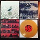 zArAme / Amnesia  10"+MP3