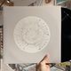 CHEVREUIL / Stadium : DELUXE EDITION 2xLP(BLACK)